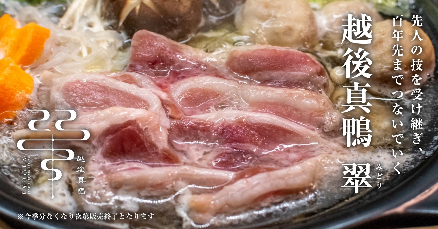 越後真鴨 翠（みどり）